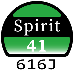 Hayter Spirit 41 Petrol Push 4 Wheel - 616J (315000001 - 315999999)