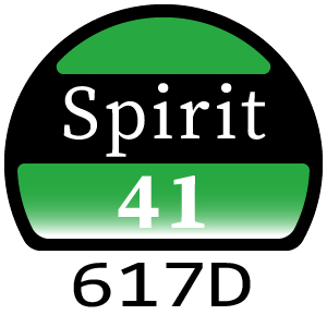 Hayter Spirit 41 Petrol Push - 617D (617D260000001 - 617D260999999)