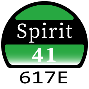 Hayter Spirit 41 Petrol Push - 617E (617E311090001 - 617E311999999)
