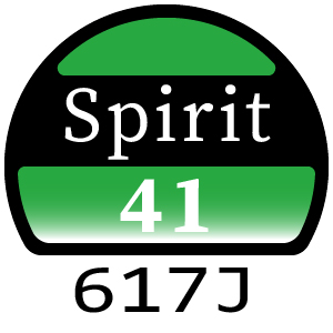 Hayter Spirit 41 Petrol Push - 617J (314000001 - 314999999)