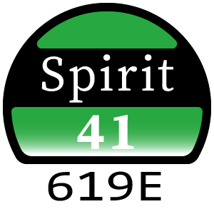 Hayter Spirit 41 Petrol AD - 619E (619E270000001 - 619E311089999)