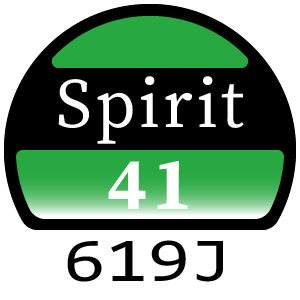 Hayter Spirit 41 Petrol AD - 619J (316000001 - 316999999)