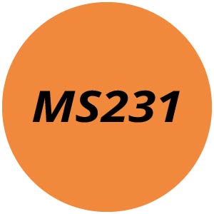 MS231 Chainsaw Parts
