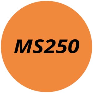 MS250 Chainsaw Parts