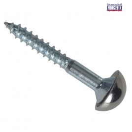 Mirror Screws