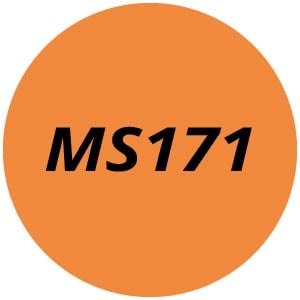 MS171 Chainsaw Parts