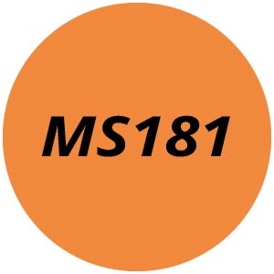 MS181 Chainsaw Parts