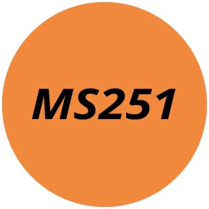 MS251 Chainsaw Parts
