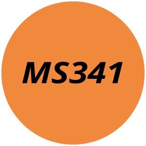 MS341 Chainsaw Parts
