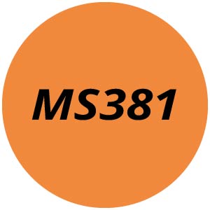 MS381 Chainsaw Parts