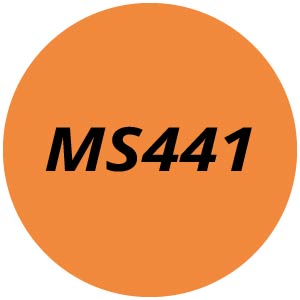 MS441 Chainsaw Parts