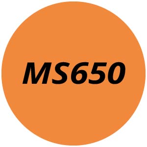 MS650 Chainsaw Parts