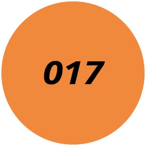 017 Chainsaw Parts