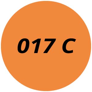 017 C Chainsaw Parts