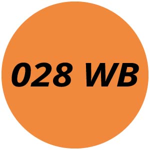 028 WB Chainsaw Parts
