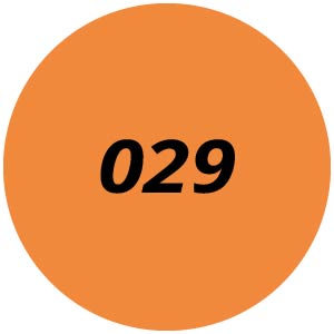 029 Chainsaw Parts