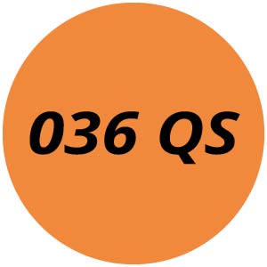 036 QS Chainsaw Parts