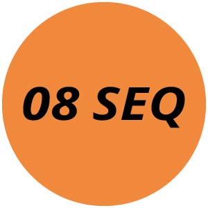 08 SEQ Chainsaw Parts