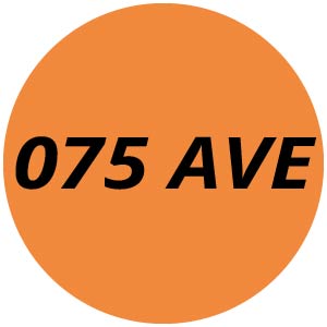 075 AVE Chainsaw Parts
