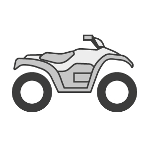 Quads/ ATV Switches