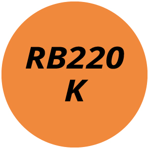 RB220 K Cold Water Pressure Cleaners Parts