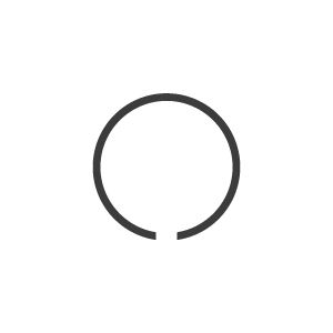 Piston Rings