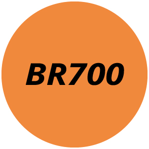 BR700 Backpack Blower Parts