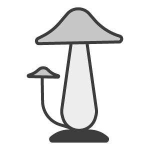 Toadstool Stakes - Clearance