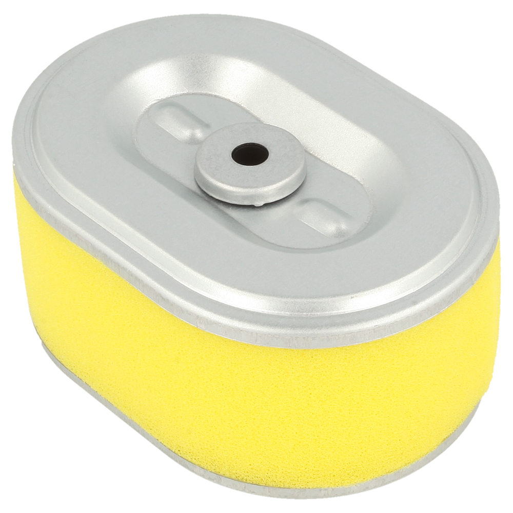 Pro Air Filter - Non-Gen