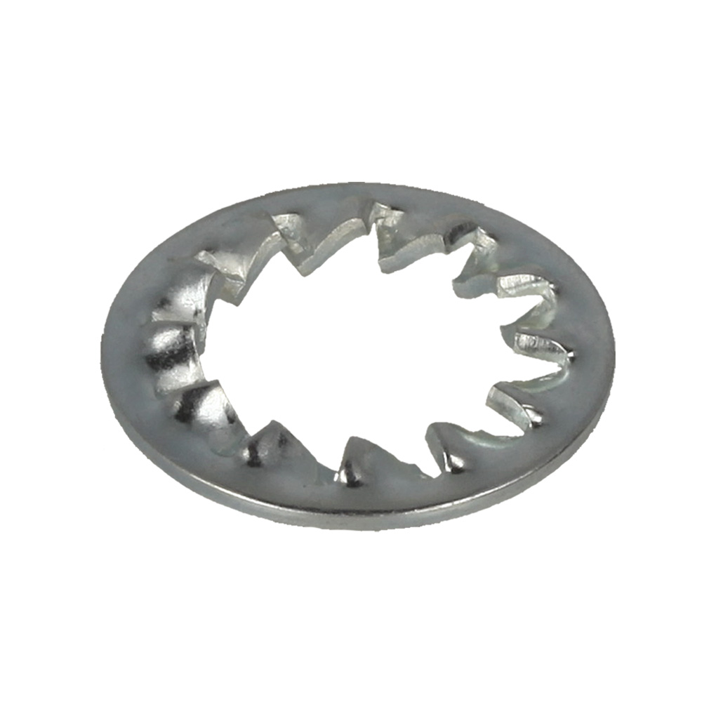 M10 Internal Shakeproof Washer