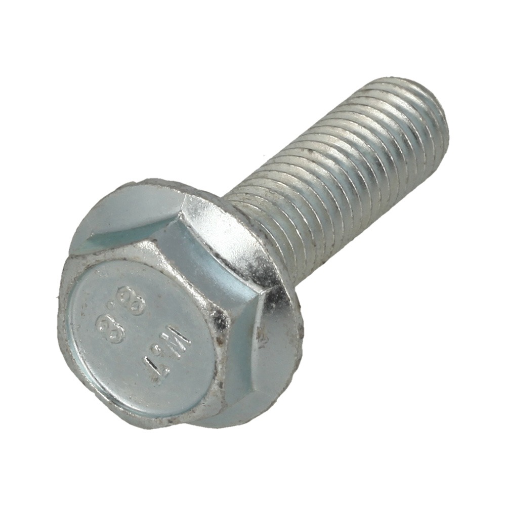 Screw