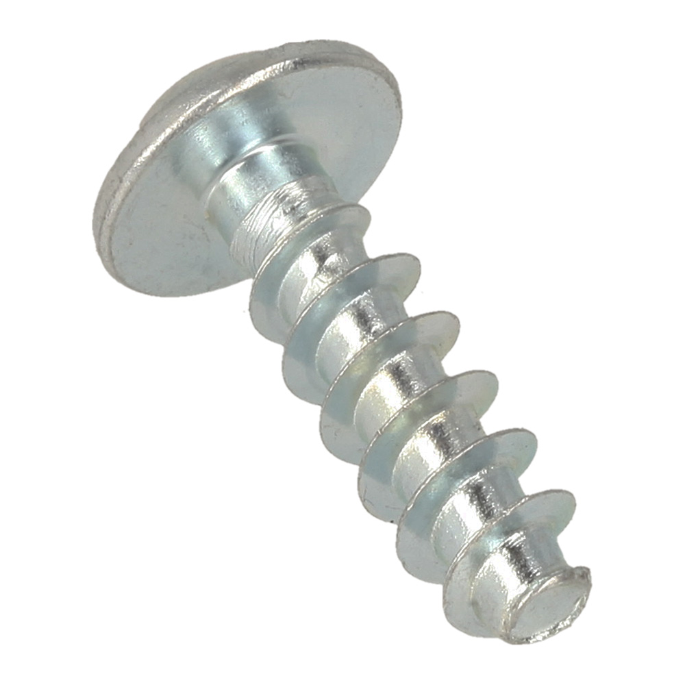 Screw