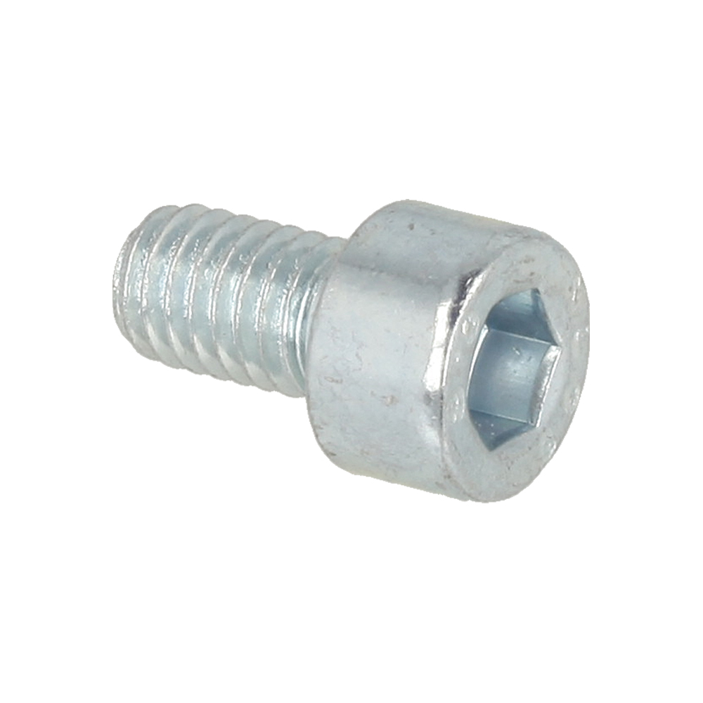 Screw M6x10