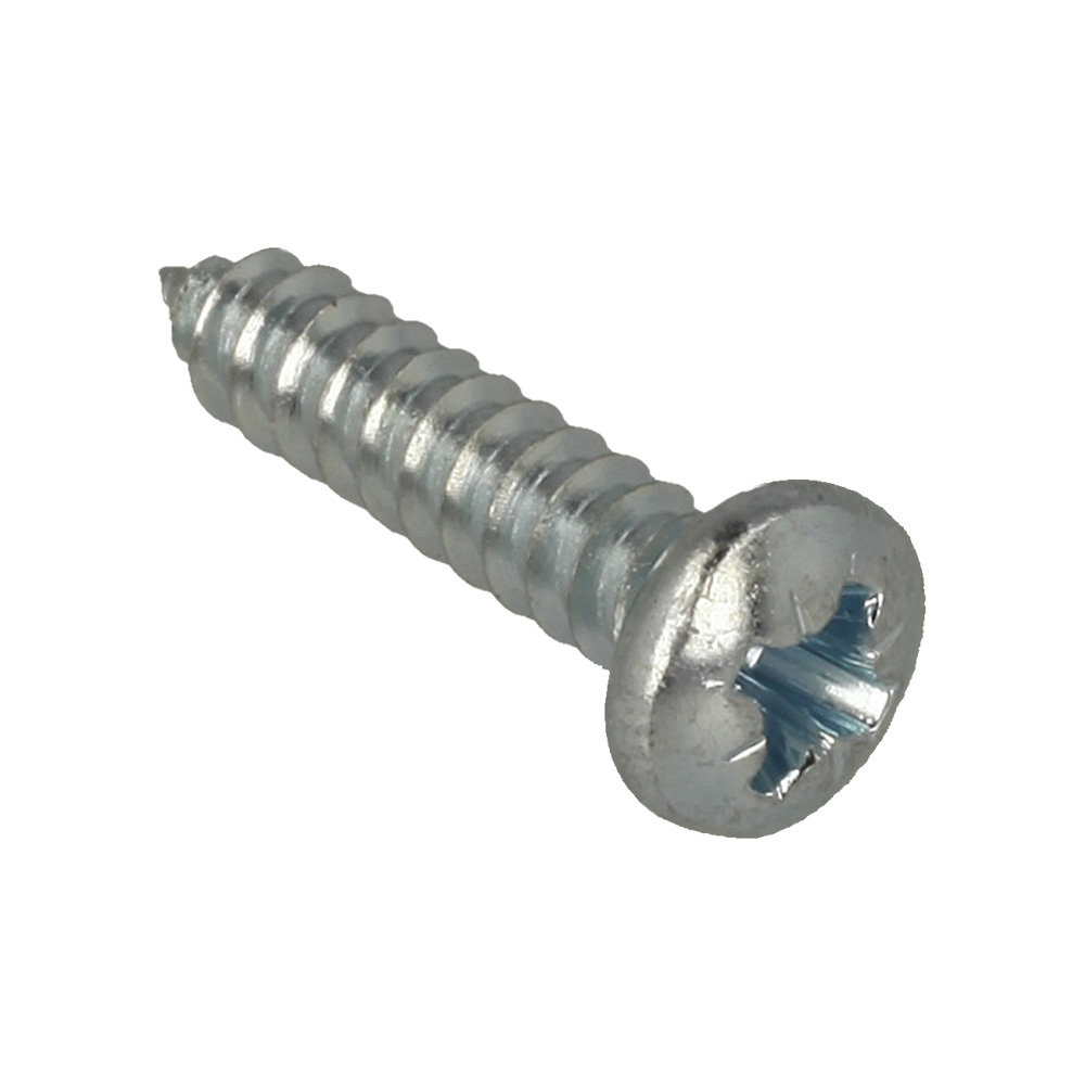 [36] - Screw 3.9 x 19 S/Tap Pozipan