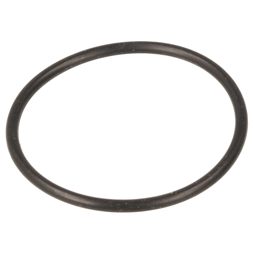 [19] - O-Ring 33 Dia x 2