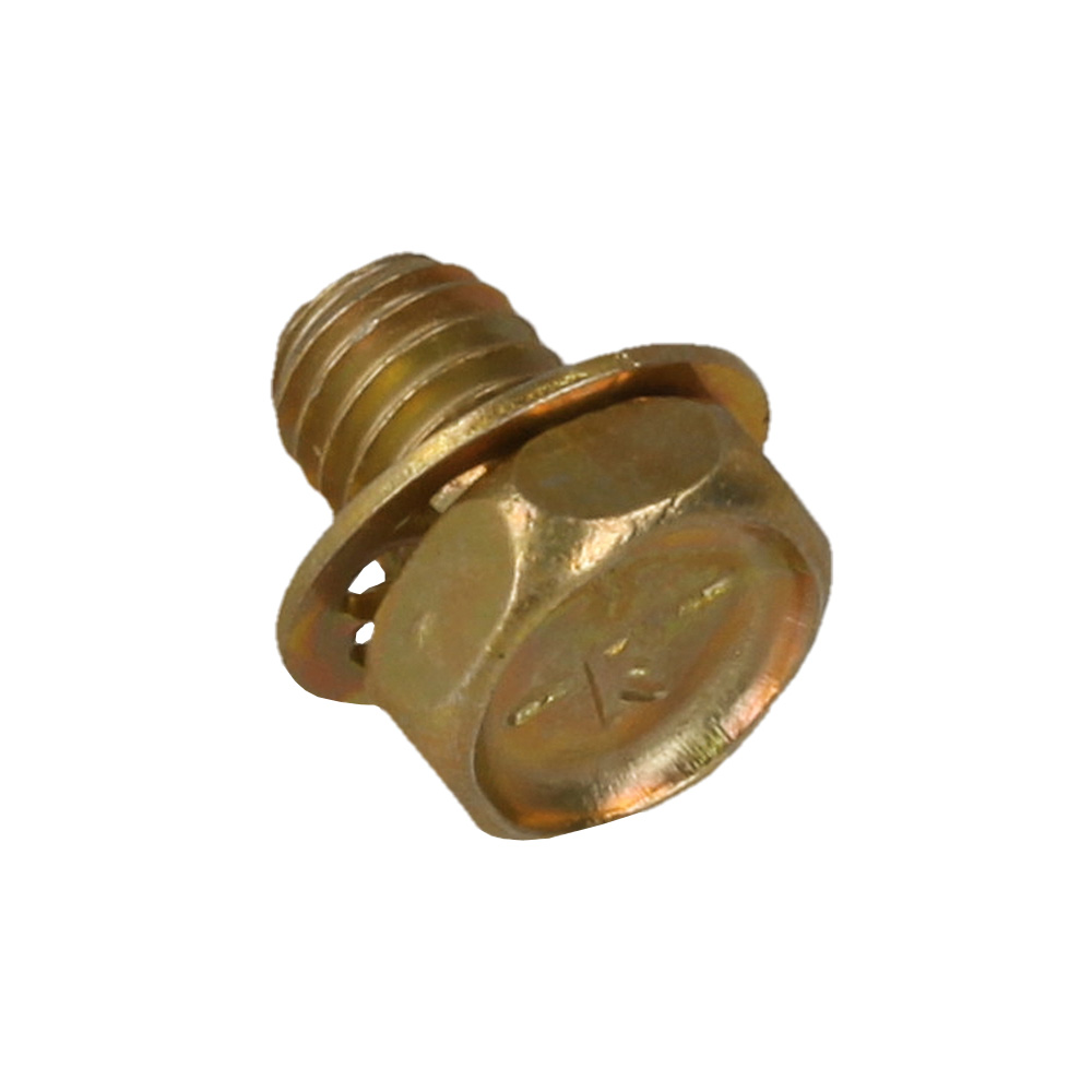 Screw (Rewind Starter)