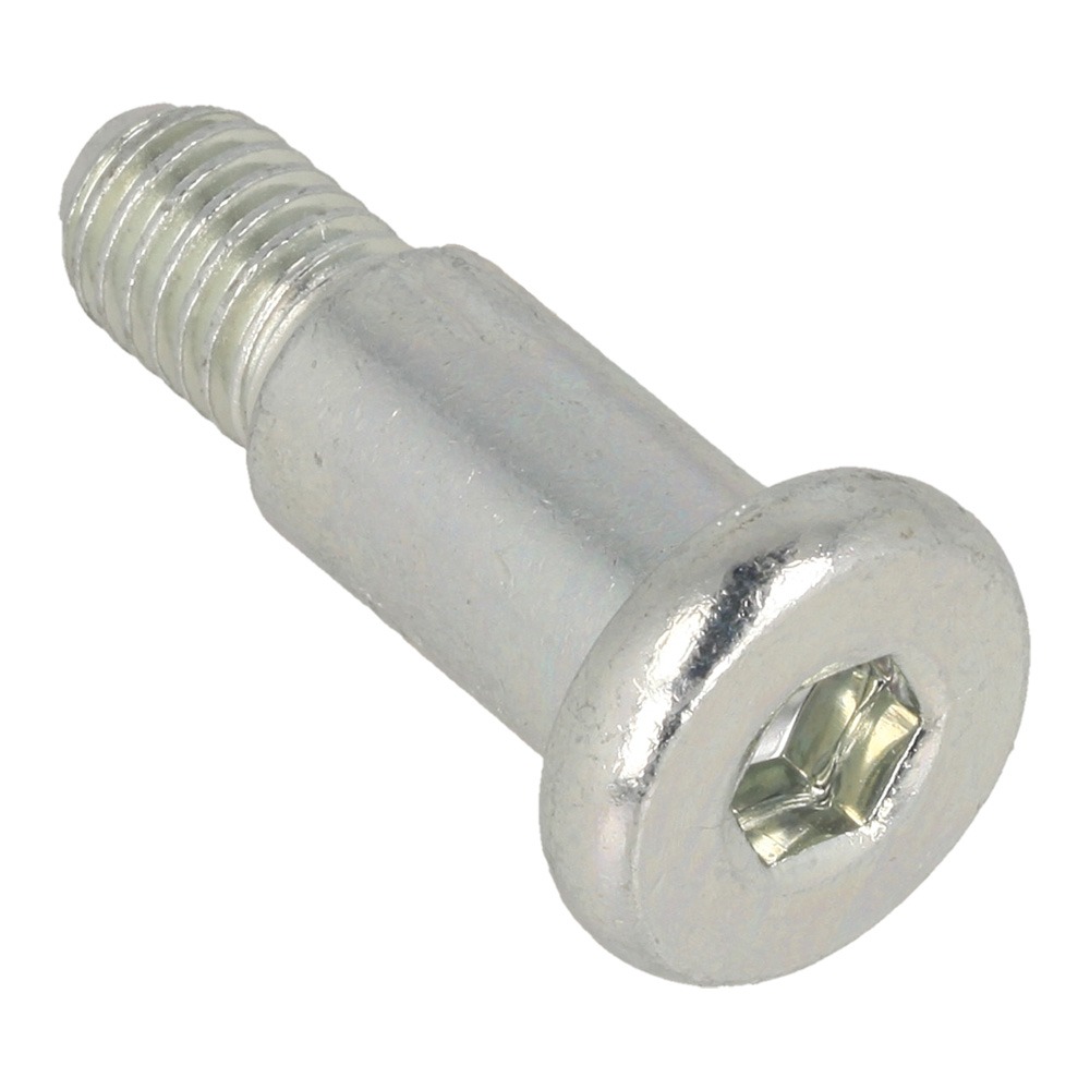 Lower Handrail Screw