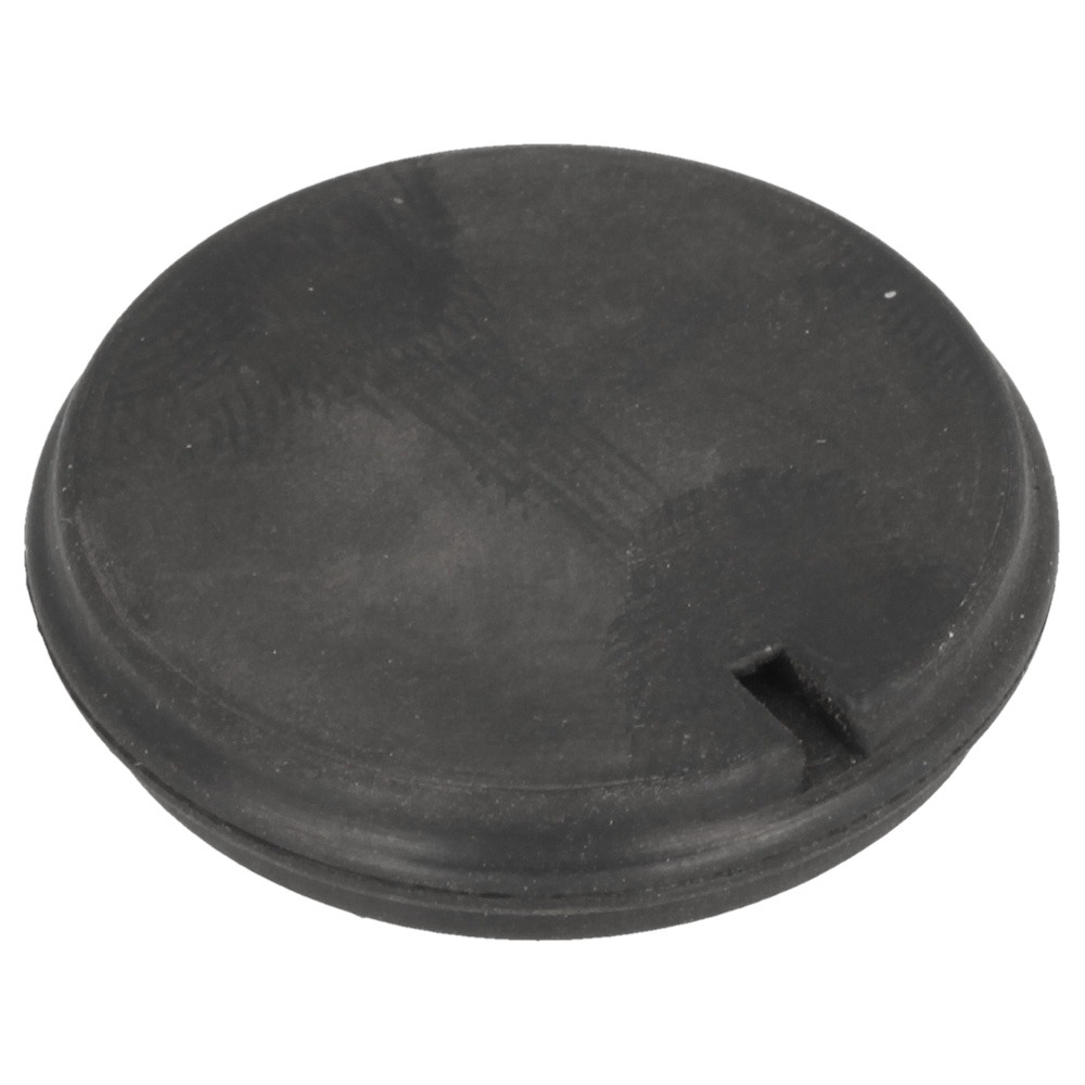 Rubber Plug Bolt