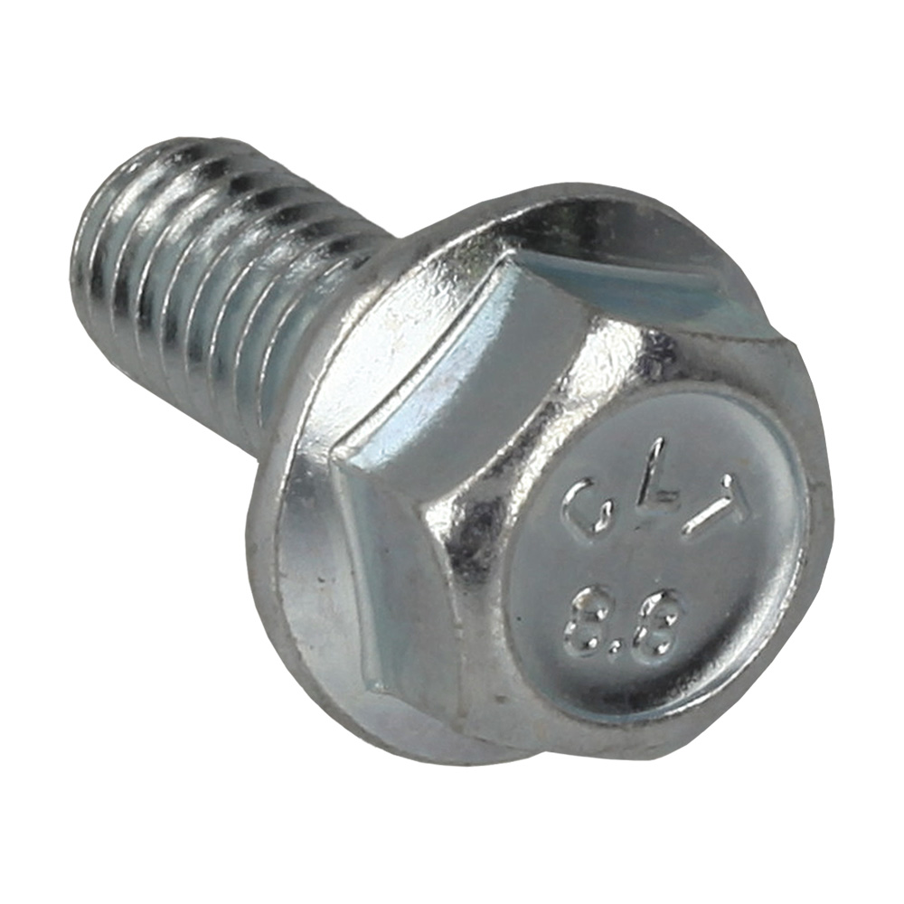 Screw