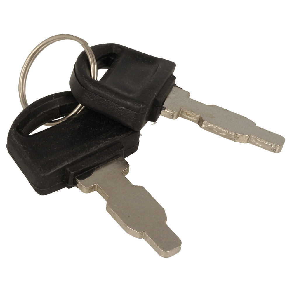 Chip650Le Ignition Key (Pair)