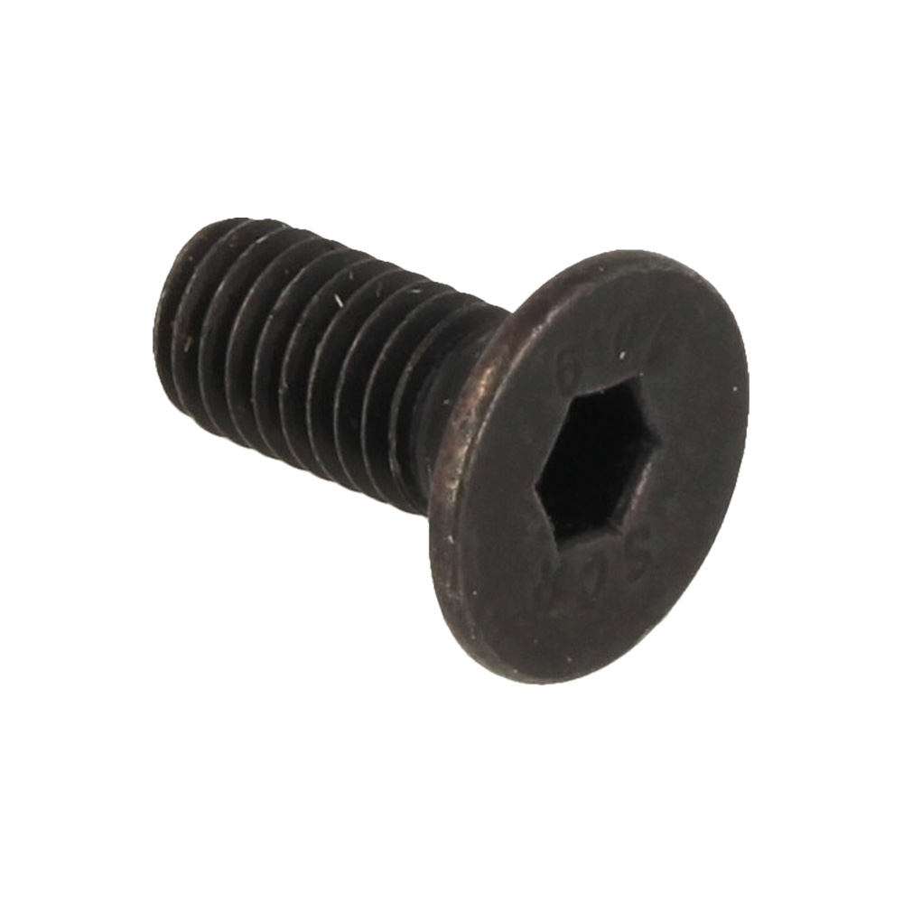 Screw M5×12
