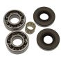 Stihl 08s, TS350 Crankshaft Bearings, Small End Bearing & Oil Seals