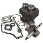 Stihl TS400 Engine Rebuild Kit (49mm Bore)