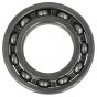 Universal 6006 Bearing                        