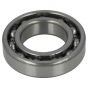 Universal 6006 Bearing                        