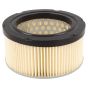 Robin DY23, DY27, DY41 Air Filter - 243-32600-08