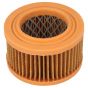 Lister Petter AA1, AB1, AB1W Air Filter (Round Type)