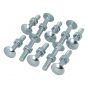 Coach Bolt & Nut M8 x 45mm, Pack Of 10