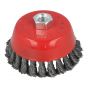 Twist Knot Wire Cup Brush (100mm)                 