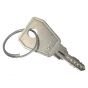 Genuine Countax & Westwood Ignition Key - 529471700 (916 Type) - See Note